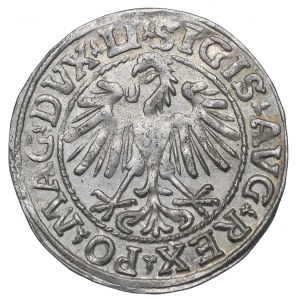 Sigismund II Augustus, Halfgroat 1548, Vilnius