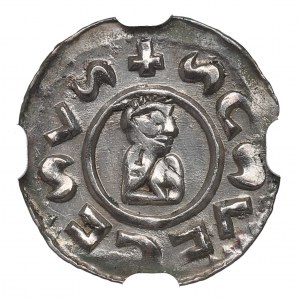 Bohemia, Wratislav II, Denar 1061-1092 - NGC UNC Details