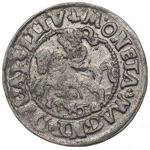 Sigismund II Augustus, Halfgroat 1546, Vilnius