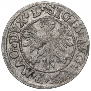 Sigismund II Augustus, Halfgroat 1546, Vilnius