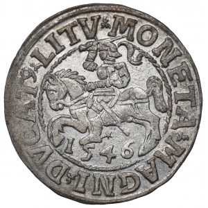 Sigismund II Augustus, Halbpfennig 1546, Wilna - LI/LITV