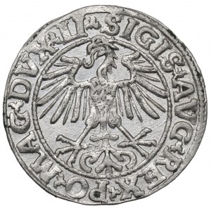 Sigismund II Augustus, Halfgroat 1550, Vilnius