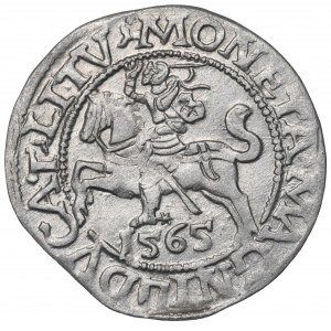 Sigismund II. Augustus, Halbpfennig 1565, Wilna - L/LITV