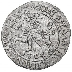 Sigismund II Augustus, Half-groat 1564, Vilnius, L/LITVA