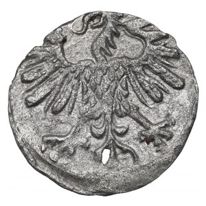 Sigismondo II Augusto, Denario 1559, Vilnius