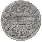 Sigismund III, Groschen 1625, Bromberg