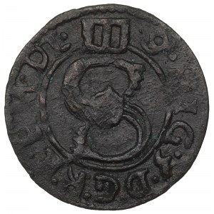 Zygmunt III Waza, Trzeciak 1624, Łobżenica