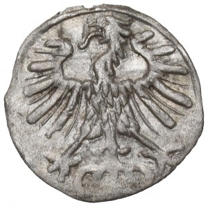 Sigismund II. Augustus, Denar 1557, Vilnius