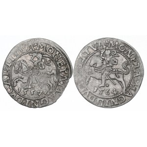Sigismund II Augustus, Set of half-pennies 1557-64