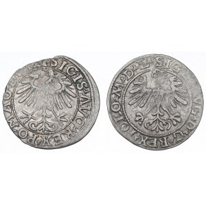 Sigismund II Augustus, Set of half-pennies 1557-64