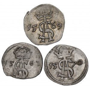Zygmunt II August, Zestaw dwudenarów 1567-70