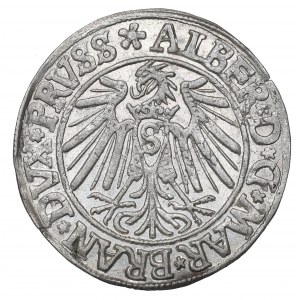 Germany, Preussen, Albrecht Hohenzollern, Groschen 1540, Konigsberg