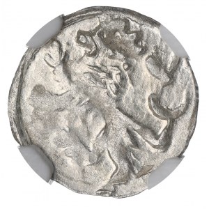 Śląsk, Jerzy z Podiebradu, Halerz Kłodzko - NGC MS63