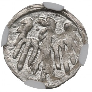 Śląsk, Jerzy z Podiebradu, Halerz Kłodzko - NGC MS63