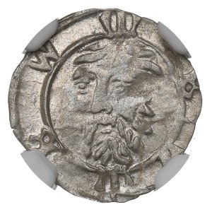 Śląsk, Księstwo Wrocławskie, Jerzy z Podiebradu, Halerz Wrocław - NGC MS62