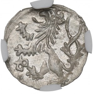 Śląsk, Księstwo Wrocławskie, Jerzy z Podiebradu, Halerz Wrocław - NGC MS62