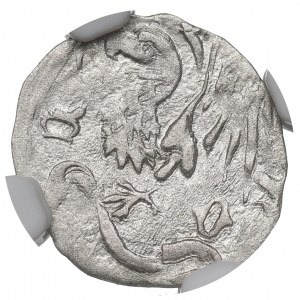 Silesia, Duchy of Oleśnickie - Konrad VIII Młodych, city hall 1430-1440 - NGC MS62