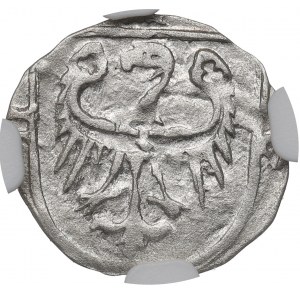 Silesia, Duchy of Oleśnickie - Konrad VIII Młodych, city hall 1430-1440 - NGC MS62