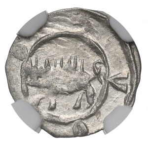Schlesien, Sigismund Luxembourg, Heller without date - NGC MS62