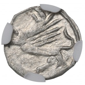 Schlesien, Sigismund Luxembourg, Heller without date - NGC MS62
