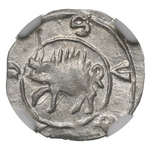 Schlesien, Sigismund Luxembourg, Heller without date - NGC MS62