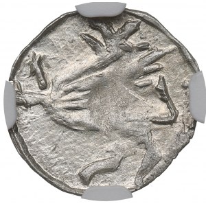 Schlesien, Sigismund Luxembourg, Heller without date - NGC MS62