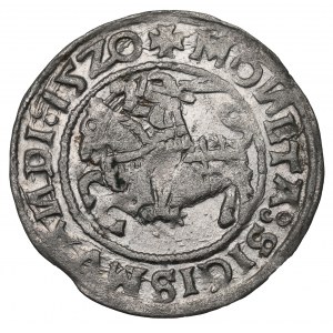 Sigismund I the Old, Halfgroat 1520, Vilnius