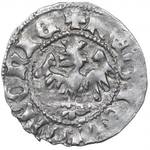 Vladislaus II Jagello, Halfgroat without date, Cracow - NGC MS62