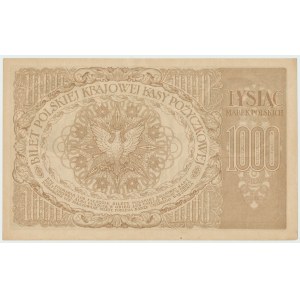 II RP, 1000 marek polskich 1919 ZO