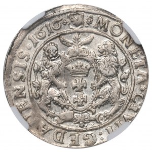 Sigismund III Vasa, Ort 1616, Danzig - NGC AU Details
