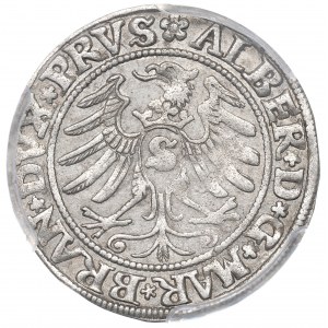 Germany, Preussen, Albrecht Hohenzollern, Groschen 1531, Konigsberg - PCGS AU55