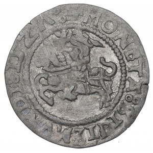 Sigismund I. der Alte, Halber Pfennig 1527, Vilnius