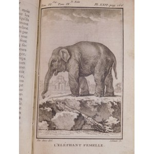 1777. BUFFON COMTE DE, Histoire naturelle générale (…). Supplément, Tome sixième.