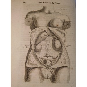 1738. [MEDYCYNA] MAURICEAU François, Traité des maladies des femmes grosses et de celles qui sont accouchées (…). Avec une description très-exacte de toutes les parties de la femme, qui servent à la génération (…).