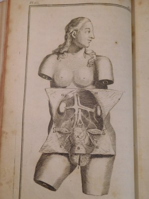 1753 [MEDICINE] MESNARD JACQUES. Le guide des accoucheurs, ou le maistre dans l'art d'accoucher les femmes et de les soulager dans les maladies et accidents dont elles sont très-souvent attaquées (...).