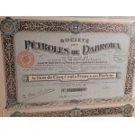 1920-25. collection of 3 Polish-French oil industry shares DĄBROWA.