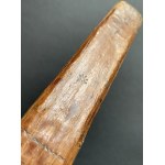 [WINKLER Karol] NOWY NIEMIECKO POLSKI DYKCYONARZ [...] Tom II. Lublin [1804]