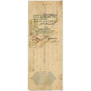 Austria - Hungary Leopold Frei Bill of Exchange for 393 Gulden Wien 1876