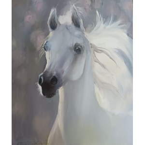 Agnieszka Slowik-Kwiatkowska, Arabian Stallion Ekstern, 2023