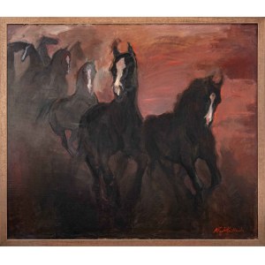 Agnieszka Slowik Kwiatkowska, Horses
