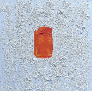 Ewa Kujawska, Orange meditation nr 2