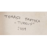 Tomasz Partyka (b. 1978, Grudziądz), Turquoise, 2009