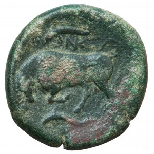 Sycylia, Syrakuzy, hemilitron, Agatokles, ok. 317-310 przed Chr.