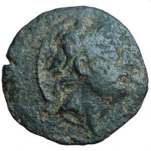 Królestwo Seleukidów, Antioch IX Filopator (Kyzikenos), nominał brązowy, mennica Antiochia, 114-95 przed Chr.