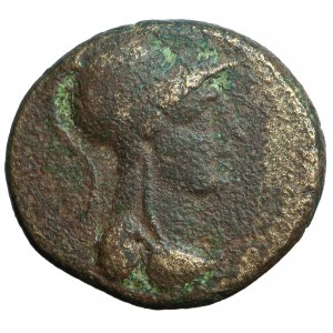 Syria, Apamea, nominał brązowy, czasy Oktawiana Augusta, 20-19 przed Chr.