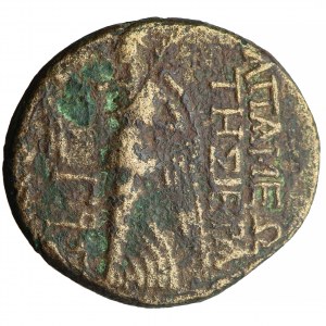 Syria, Apamea, nominał brązowy, czasy Oktawiana Augusta, 20-19 przed Chr.
