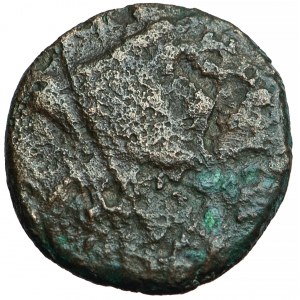 Judea, Aszkalon, nominał brązowy, czasy Trajana, 109-110
