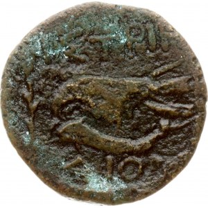 Moesia Istros Æ21 220-150 BC