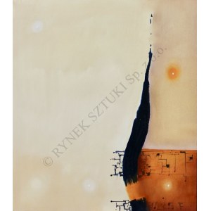 Wojciech Kaleta, Unsteady Balance (2018)