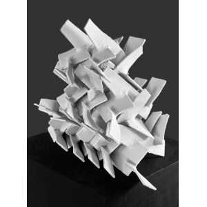 Norio Shibata, Puzzle
